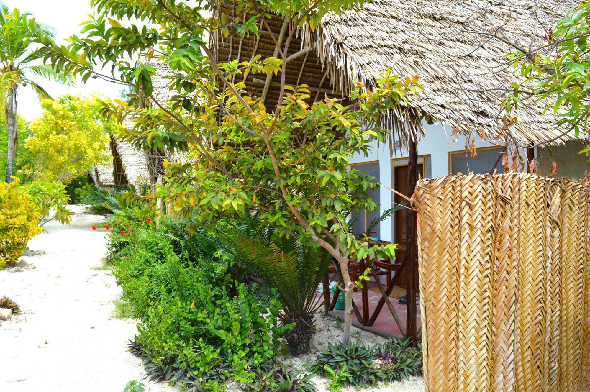New Jambo Bungalows Paje Esterno foto