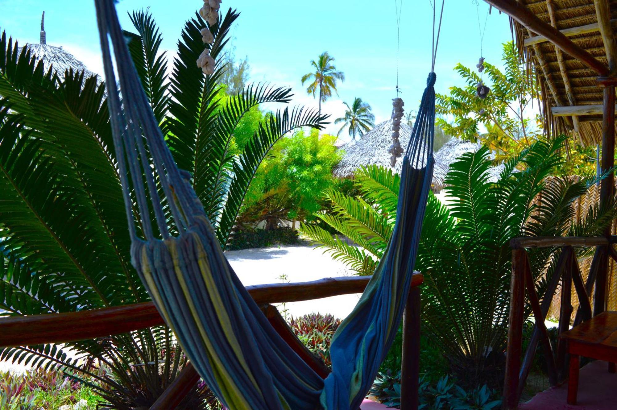 New Jambo Bungalows Paje Esterno foto