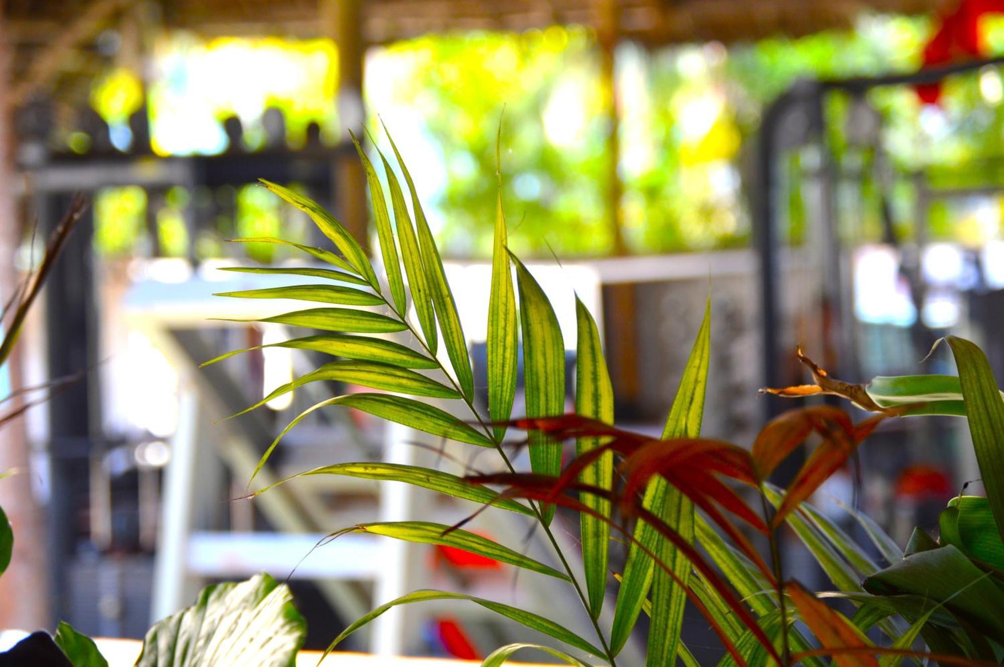 New Jambo Bungalows Paje Esterno foto